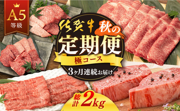 [3回定期便]佐賀牛 秋の定期便 極コース [桑原畜産][NAB107] 牛肉 佐賀県産 黒毛和牛 定期便