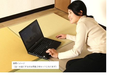 ユニットたたみ半畳サイズ2枚セット【黄金(こがね)】 【和紙表 撥水加工 変色しづらい 職人 本格派 やすらぎ ごろ寝 昼寝 国産 手作り】(H075109)