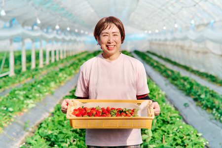 【先行受付 令和8年1月より発送開始】香月さんちのいちご(さがほのか)280g×4パック【いちご イチゴ 苺 さがほのか 大玉 大粒フルーツ 果物  数量限定 香月農園 佐賀県産】(H017116)