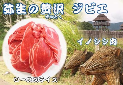 【定期便3回】脊振ジビエ イノシシ肉(ローススライス)800g 【佐賀 佐賀県産 猪 ロース バラ スライス 焼肉 しゃぶしゃぶ 鍋物】(H072122)