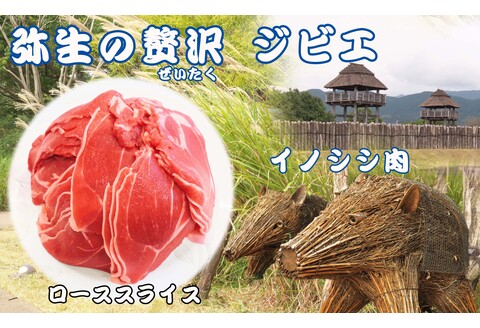 【定期便6回】脊振ジビエ イノシシ肉(ローススライス)800g 【佐賀 佐賀県産 猪 ロース バラ スライス 焼肉 しゃぶしゃぶ 鍋物】(H072123)