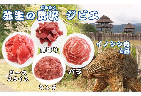 【定期便6回】脊振ジビエ イノシシ肉(ロース バラ 角切り ミンチ)4品詰合せ(小) 【佐賀 佐賀県産 猪 ロース バラ スライス 焼肉 しゃぶしゃぶ 鍋物】(H072129)