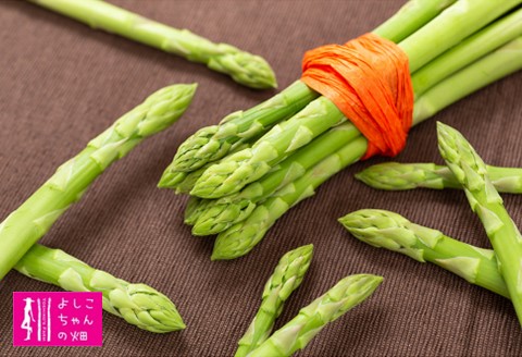 【先行受付 令和8年7月より発送】夏芽のアスパラ 1.2kg 【アスパラ アスパラガス グリーンアスパラガス モデル バーベキュー BBQ こだわり 採れたて 野菜 】(H013105)