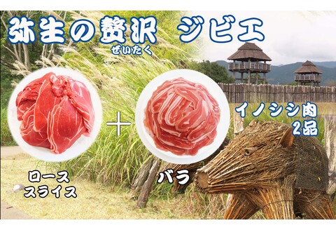 脊振ジビエ イノシシ肉(ロース肉 バラ肉)2品詰合せ800g 【佐賀 佐賀県産 猪 ロース バラ 焼肉 しゃぶしゃぶ 鍋物】(H072185)