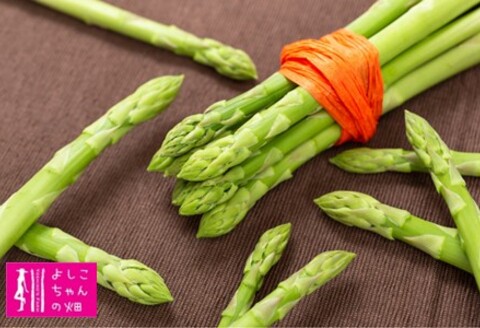 【先行受付 令和8年3月より発送】朝採りアスパラ定期便1kg×6回 【アスパラ アスパラガス グリーンアスパラガス モデル バーベキュー BBQ こだわり 採れたて 野菜 】(H013109)