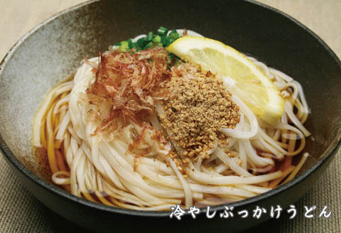 さっとできてさっと食べられる ささっとうどん 20入 【麺 うどん 佐賀県産 簡単】(H014136)