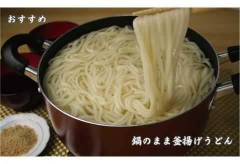 ふっくらモチモチ神埼生うどん 20袋入 【麺 うどん 生うどん 釜揚げうどん】(H014137)