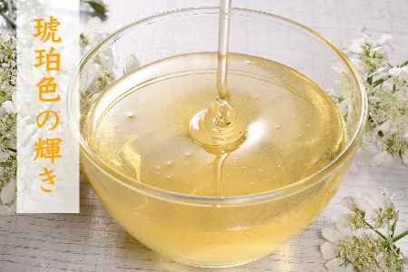 【数量限定】2025年産 国産天然蜂蜜（春の蜜）300g & 280g　(H049127)