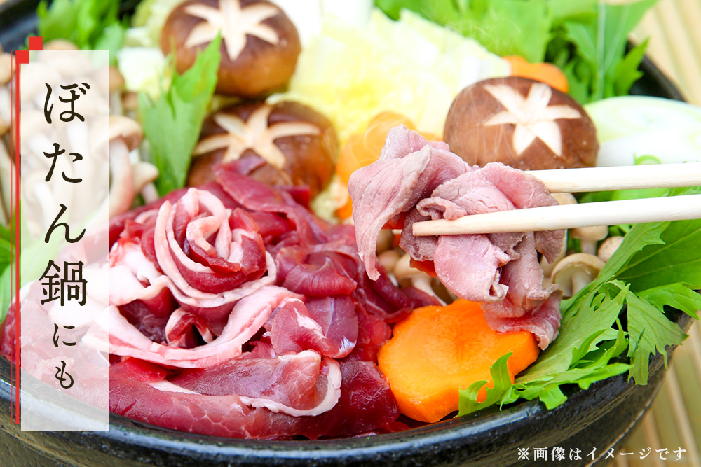 脊振ジビエ イノシシ肉スライスセット ロース＆バラ 約600g 【脊振 ジビエ イノシシ肉 ロース バラ】(H059119)