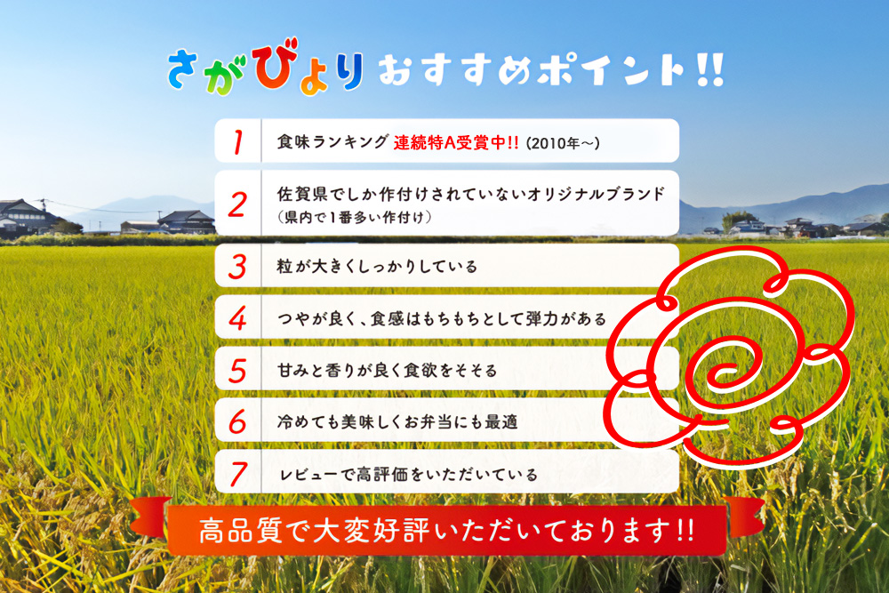 【令和7年産 新米】ごはんソムリエが厳選 無洗米 さがびより 10kg【神埼市産 米 お米 無洗米 精米 白米 10kg 5kg×2 さがびより ブランド米 食味鑑定士】(H063147)