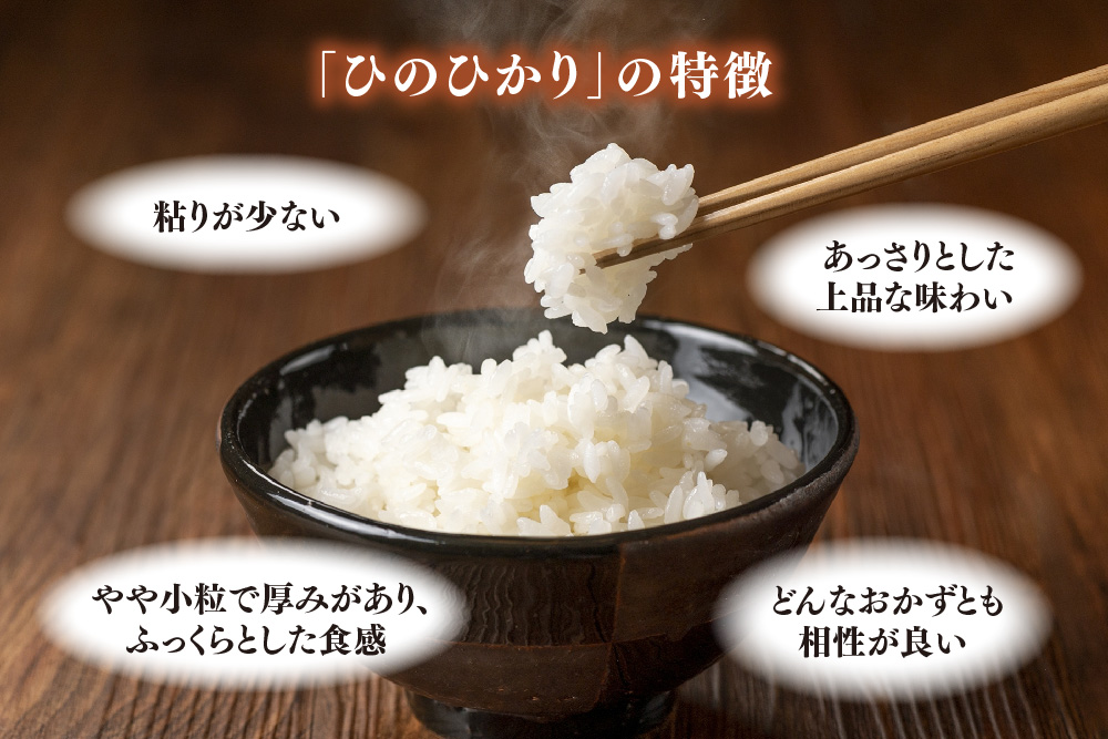 【令和7年産 新米】ごはんソムリエが厳選 白米 ひのひかり 10kg【神埼市産 新米 米 お米 精米 白米 10kg 5kg×2 ひのひかり ブランド米 食味鑑定士】(H063151)