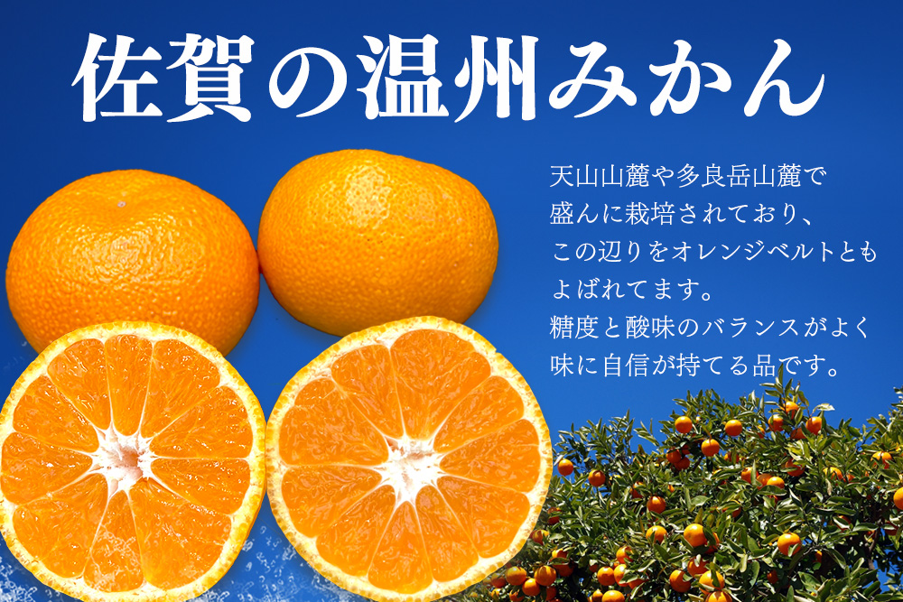 【令和7年11月下旬より発送】佐賀温州みかん(1箱 4.5kg)【フルーツ 佐賀 佐賀県産 早生みかん 温州みかん ギフト 贈答 プレゼント】 (H072107)