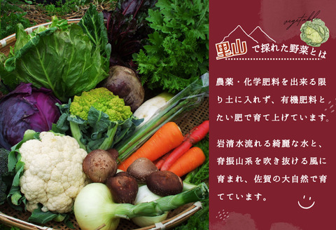 里山で採れた野菜セットショート 8品 【有機野菜 おまかせ野菜セット イタリア野菜 西洋野菜】(H078101)