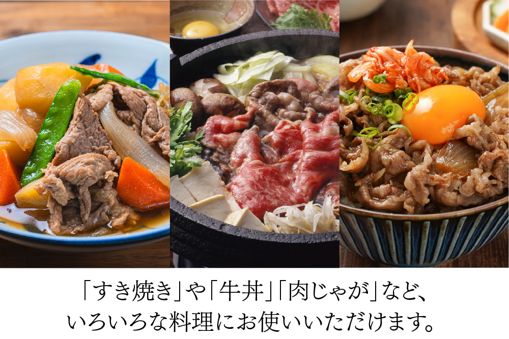 佐賀牛 贅沢 切り落とし 2kg(500g×4)【A4～A5ランク】【すき焼き しゃぶしゃぶ 牛丼 A5 A4 希少 国産和牛 牛肉 肉 牛】(H085210)