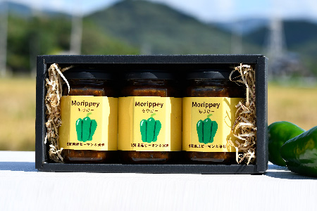 リピーター続出!! "ピーマン味噌 もりぴー"3個セット【サラダピーマン 米麹味噌 手作り 無添加 】(H100104)