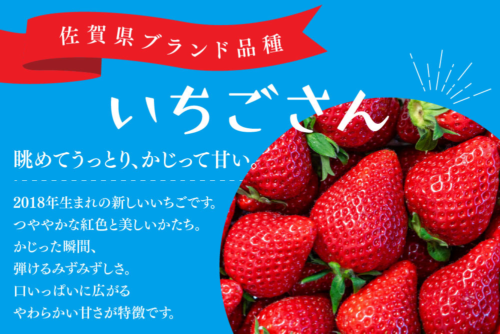 【先行受付 令和8年1月下旬より発送開始】期間限定 特選いちご(いちごさん) 250g×4パック【苺 イチゴ ブランドいちご 朝採れ デザート スイーツ フルーツ 誕生日ケーキ バレンタイン】(H101107)