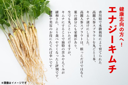 【隔月2回定期便】【一子相伝】秘伝のエナキム(高麗人参スプラウト・キムチ)1袋1本入り【本場の味 秘伝の味 韓国 ピリ辛 健康志向 滋養強壮】(H104147)