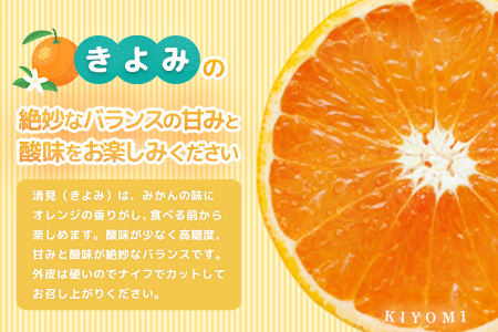 【先行受付 令和8年3月より発送】佐賀県産柑橘『清見』約5000g【フルーツ 果物 みかん オレンジ 柑橘 デザート ふるさと納税】(H108110)