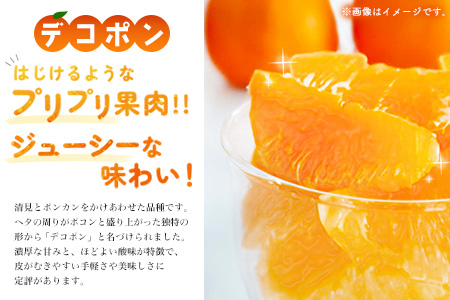【令和8年2月より発送】佐賀県産柑橘『デコポン』約2500g【果物 フルーツ でこぽん みかん 柑橘 ジューシー 濃厚な甘み ふるさと納税】(H108111)