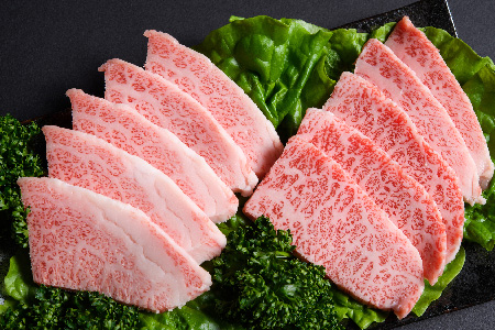 訳あり！艶さし！【A4～A5】佐賀牛焼肉切り落とし(肩ロース・バラ)500g【肉 牛肉 ブランド牛 黒毛和牛 ふるさと納税】(H112134)