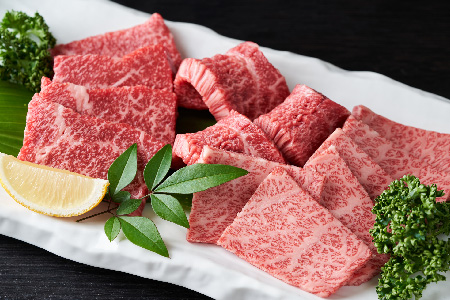 【12か月定期便】艶さし！【A4～A5】佐賀牛焼肉用 1kg(500g×2P)×12回【肉 牛肉 ブランド牛 黒毛和牛 ふるさと納税】(H112171)