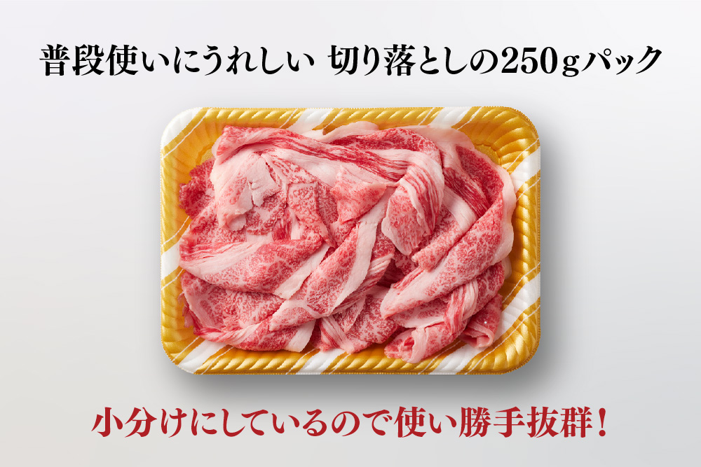 艶さし！【A4～A5】佐賀牛大判霜降り贅沢切り落とし 250g【佐賀牛 切り落とし 霜降り 肩ロース 大判 一枚肉 薄切り 250g 小分け】(H112339)
