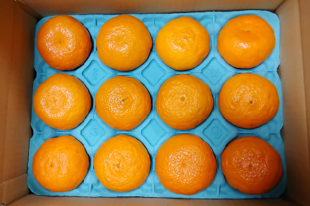 【2026年4月上旬より発送開始】南津海(なつみ)みかん 2.5kg【みかん 柑橘 オレンジ ポンカン フルーツ デザート 果汁】(H116155)