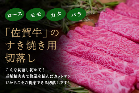 佐賀牛 すきやき用切落250g×2パック計500g【佐賀牛 すき焼き用 切り落とし 牧場直送 小分け】(H122140)