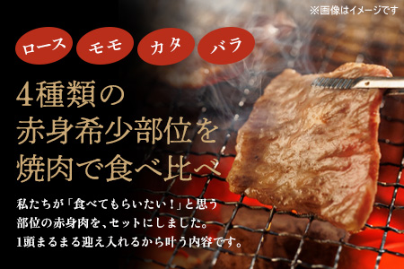 佐賀牛 希少部位焼肉セット150g×4パック計600g【佐賀牛 牧場直送 霜降り 赤身 小分け】(H122141)