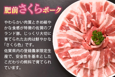 肥前さくらポーク 焼肉用 豚バラ 600g【豚肉 やわらかい 甘み 焼肉 野菜炒め 小分け 佐賀県 美味しい キメ細かい 脂身】(H123109)
