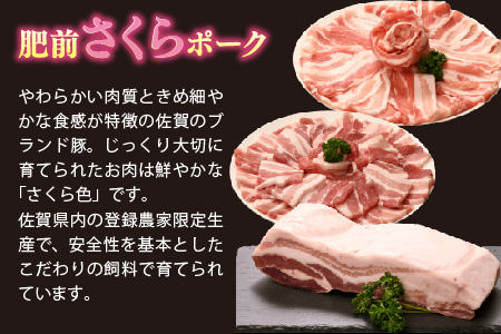 【3カ月定期便】肥前さくらポーク 焼肉・しゃぶしゃぶ・ブロック 計1.95kg【豚肉 やわらかい 甘み 小分け スライス ブロック ブランド肉 佐賀県 美味しい キメ細かい】(H123116)