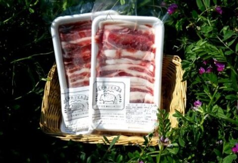 脊振ジビエ イノシシ肉スライスセット ロース＆バラ 約600g 【脊振 ジビエ イノシシ肉 ロース バラ】(H044123)