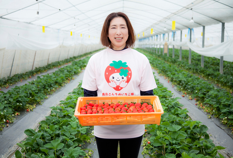 いちごミルクプリン6個セット【佐賀県産 さがほのか シャーベット プリン県  冷凍 果肉ソース】 (H017113)