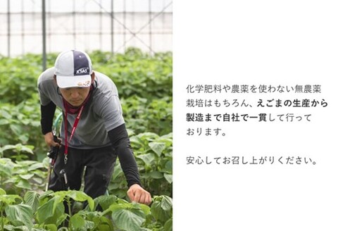 九州産えごま油 100g×3本セット 【えこびと 農園 九州産 国産 無添加 生搾り 栽培期間中無農薬 自社製造 えごま αリノレン酸】(H037103)