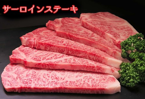 【佐賀牛プレミアム】ヒレシャトーブリアンなどオススメ3点セット【定期便5回】【シャトーブリアン 定期便 5回 サーロインステーキ ステーキ 冷凍 国産 人気 佐賀牛 ブランド牛 贅沢 お祝い 贈り物 プレゼント ギフト】(H065140)