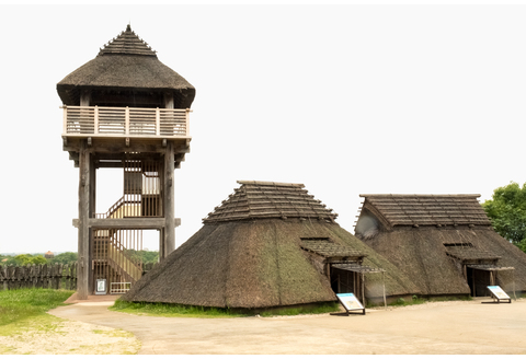 脊振ジビエ イノシシ肉(ローススライス肉)800g 【佐賀 佐賀県産 猪 ロース バラ 焼肉 しゃぶしゃぶ 鍋物】(H072118)