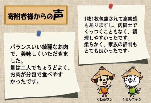【佐賀牛】モモしゃぶしゃぶ・すき焼き用500g 【脂少なめ 牛肉 スライス 小分け 便利 1枚ずつ グルメ ギフト 焼肉 和牛 鍋 鍋もの】(H081106)