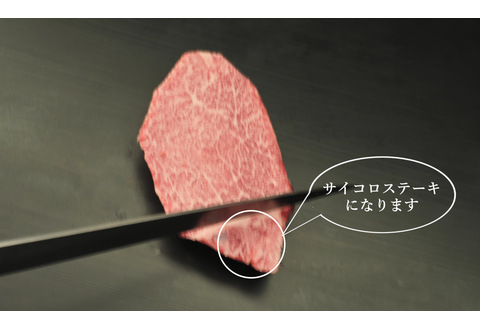 【訳あり】佐賀牛ヒレ・不揃いサイコロステーキ 600g 【訳あり 牛肉 牛 佐賀牛 不揃い ヒレ 切り落とし 600g】(H065121)