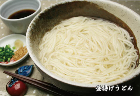 さっとできてさっと食べられる ささっとうどん 20入 【麺 うどん 佐賀県産 簡単】(H014136)