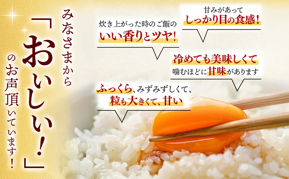【定期便3ヶ月】令和7年産 さがびより 精米 5kg×3回【特A受賞米 定期便 少量 人気 お米 コメ ブランド米 増田米穀】(H015205)