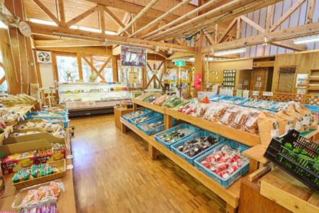 せふり特選椎茸セット＜極み＞ 【せふり 干ししいたけ 原木】(H044102)