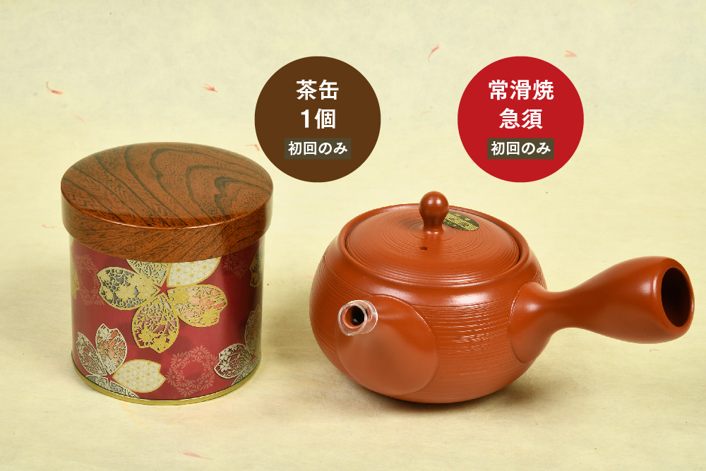 【毎月お届け3回】特上煎茶八重2本と季節のお茶1本(合計100g×3本) 【佐賀県産 銘茶 嬉野茶 知覧茶 まろやか コク 香り お徳用 定期便】(H047105)