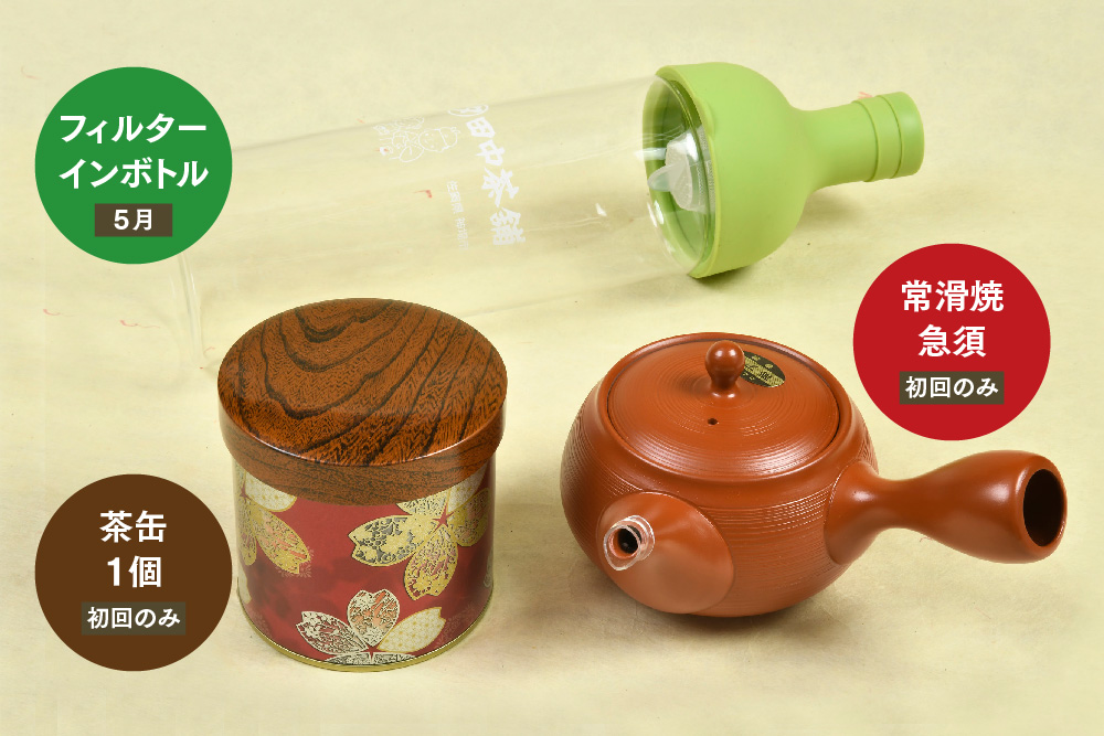 【毎月お届け12回】特上煎茶八重100g2本と季節の茶100g1本(急須付き) 【定期便 九州 お茶 緑茶 急須 フィルターインボトル 定期便】(H047113)