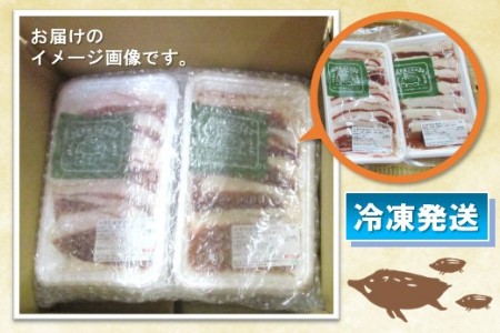 脊振ジビエ イノシシ肉スライスセット ロース＆バラ 約600g 【脊振 ジビエ イノシシ肉 ロース バラ】(H059119)