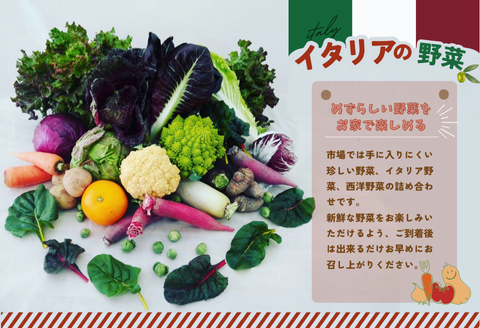 年間定期便24回 イタリア野菜セットショート 7品 【有機野菜 おまかせ野菜セット イタリア野菜 西洋野菜 定期便】(H078147)