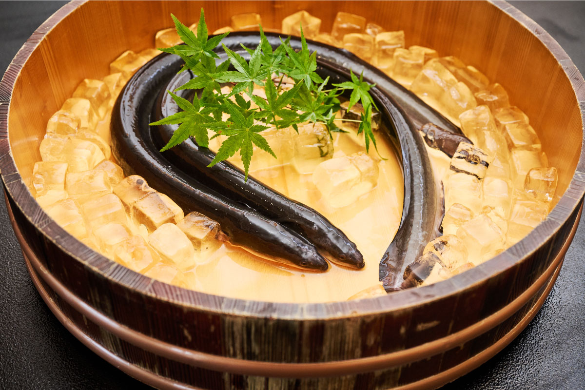 【職人手焼き】国産特大うなぎ白焼1尾（約170g前後）【国産 うなぎ 鰻 ウナギ 極上 白焼き 香ばしい 旨味 スタミナ 抹茶塩 山椒】(H097109)