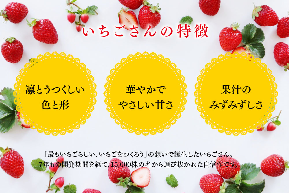 【先行受付 令和8年1月下旬より発送開始】期間限定 特選いちご(いちごさん) 250g×4パック【苺 イチゴ ブランドいちご 朝採れ デザート スイーツ フルーツ 誕生日ケーキ バレンタイン】(H101107)