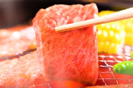 【12か月定期便】艶さし！【A4～A5】佐賀牛焼肉用 500g×12回【肉 牛肉 ブランド牛 黒毛和牛 ふるさと納税】(H112168）