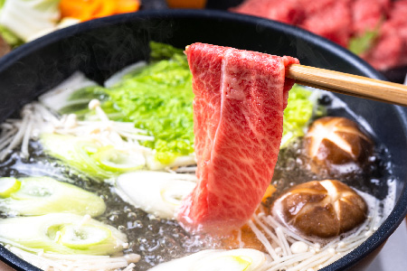 【6か月定期便】佐賀産和牛肩ロースしゃぶしゃぶすき焼き用 600g×6回【肉 牛肉 ブランド牛 黒毛和牛 ふるさと納税】(H112334)