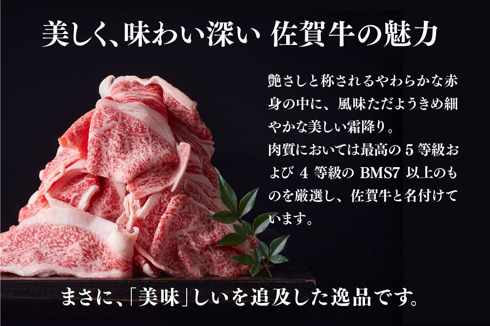 艶さし!【A4～A5】佐賀牛大判霜降り贅沢切り落とし 750g(250g×3P)【佐賀牛 切り落とし 霜降り 肩ロース 大判 一枚肉 薄切り 250g 小分け】(H112341)